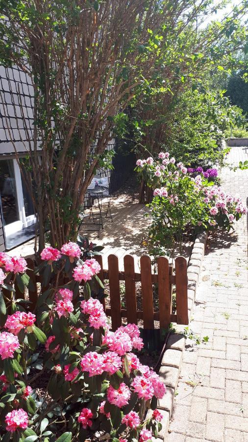 Ferienwohnung 43Qm Torf 10 Naehe Moehnesee Warstein Exterior foto